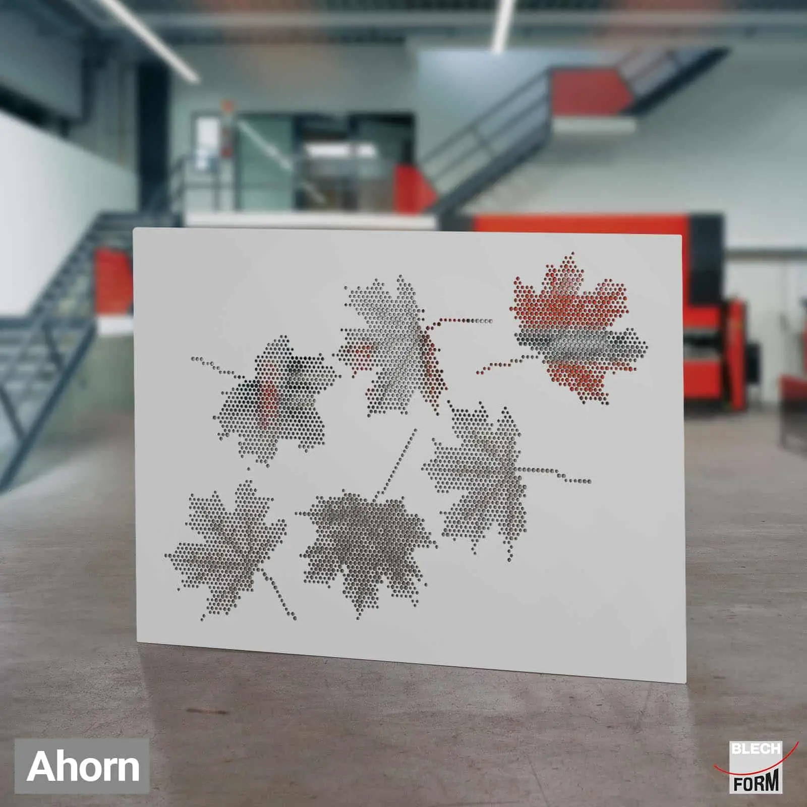 Ahorn